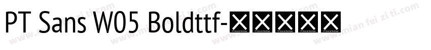 PT Sans W05 Boldttf字体转换